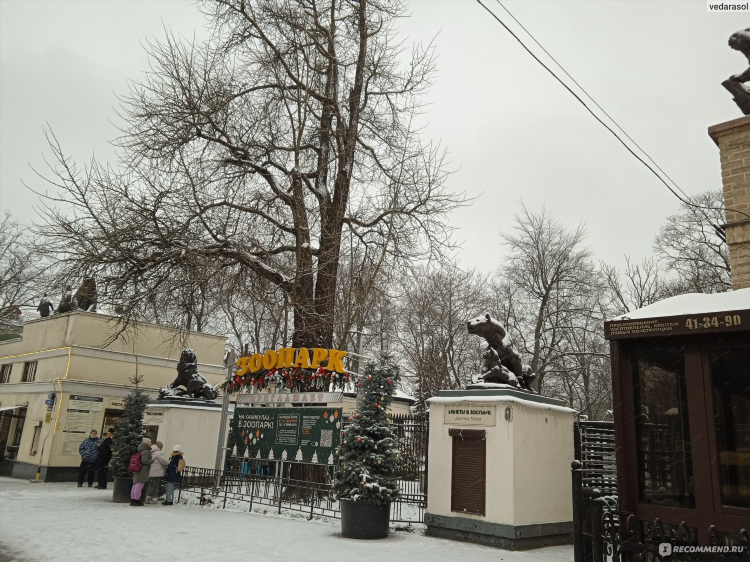 Амалия нау калининград