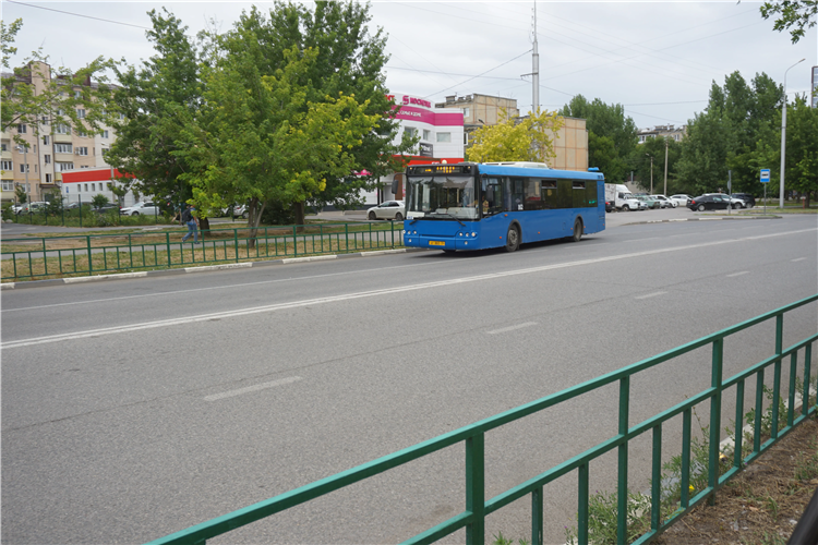 Автобус 116 калининград некрасово расписание