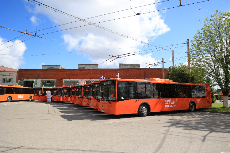 Автобус 31 калининград