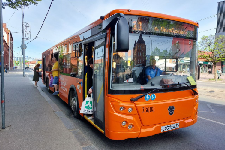 Автобус балтийск калининград