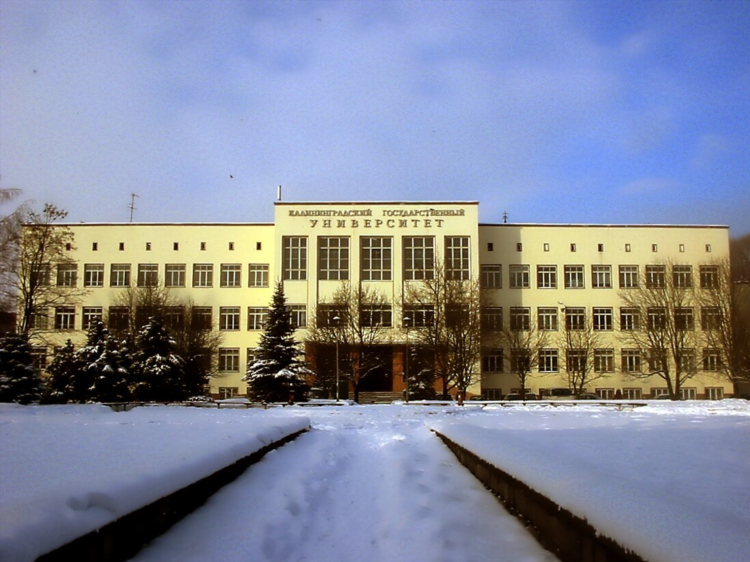 Бфу имени канта калининград факультеты