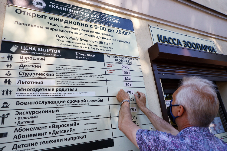 Билет спб калининград
