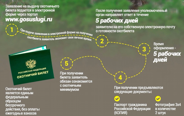 Билеты мурманск калининград