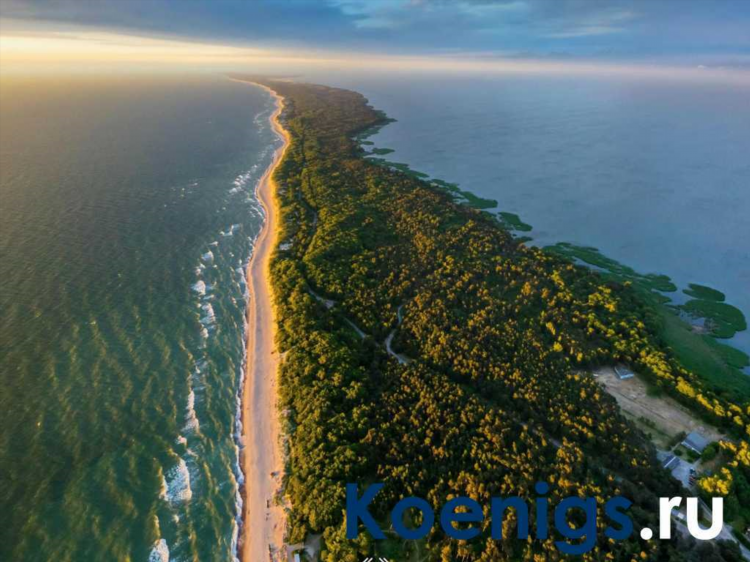 Экскурсии из калининграда до куршской косы