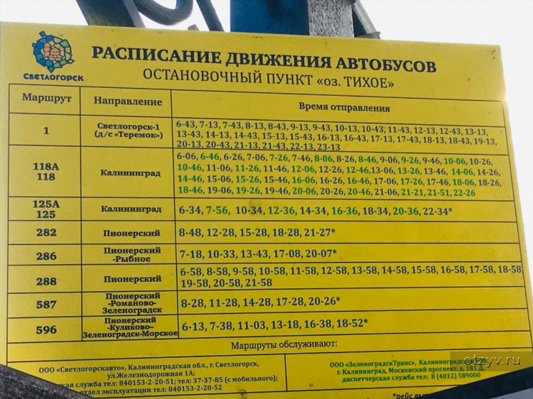 Электрички калининград балтийск расписание на завтра
