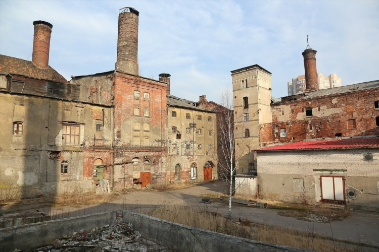 Factory brand калининград