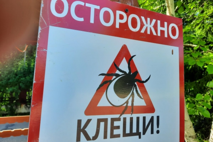 Фбуз центр гигиены и эпидемиологии калининград