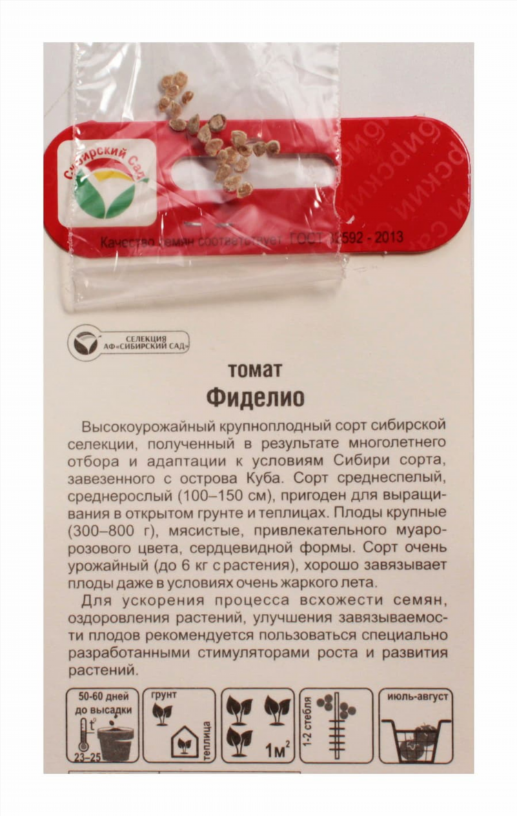 Фиделио калининград