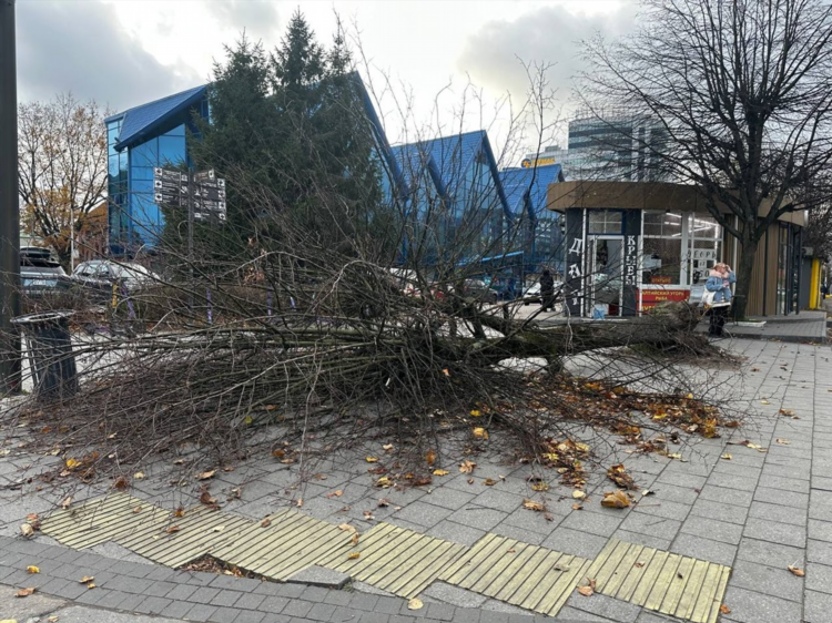 Горсвет калининград