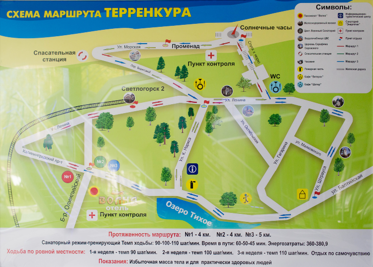 Как добраться от аэропорта калининграда до светлогорска