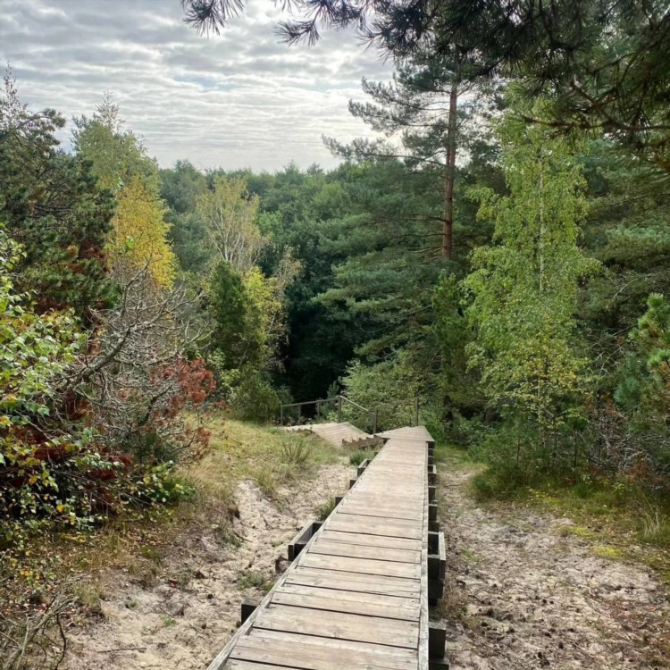 Калининград 7 км