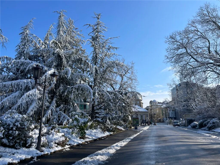 Калининград светлый погода
