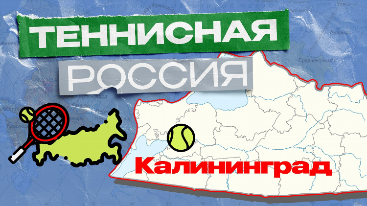 Калининград транспортные компании список