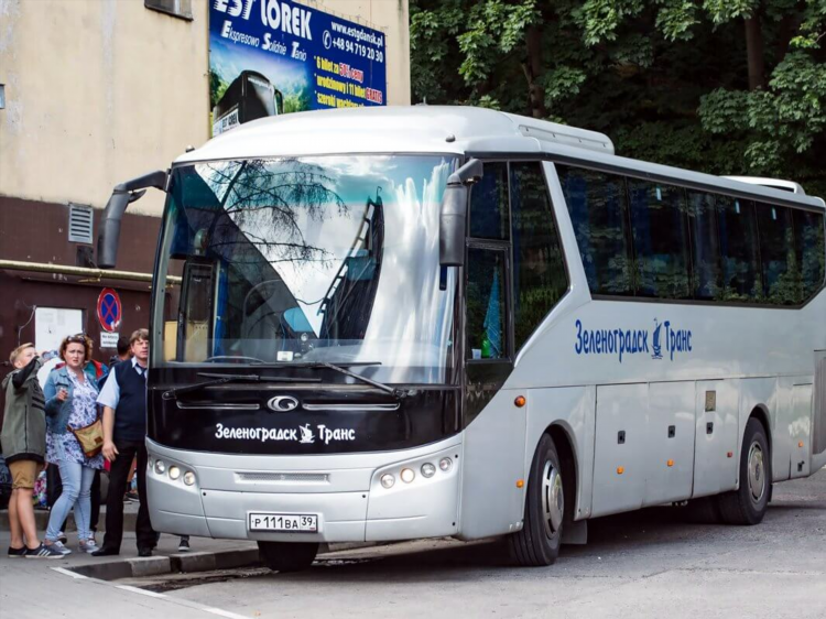 Местоположение автобусов калининград