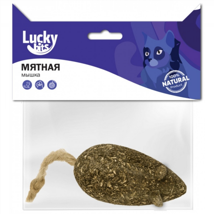 Мята калининград