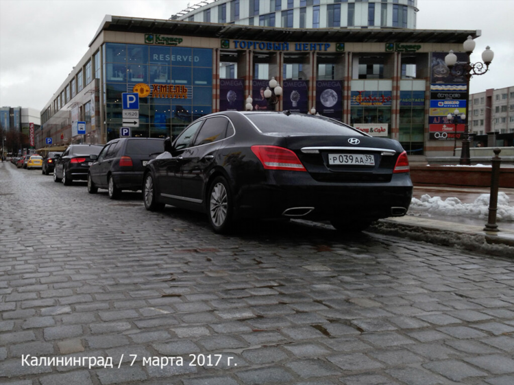 Мрэо гибдд калининград борзова