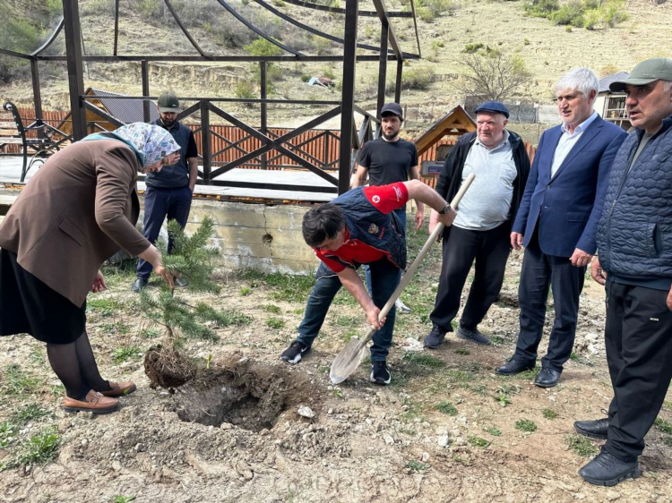 Осп ленинградского района г калининграда