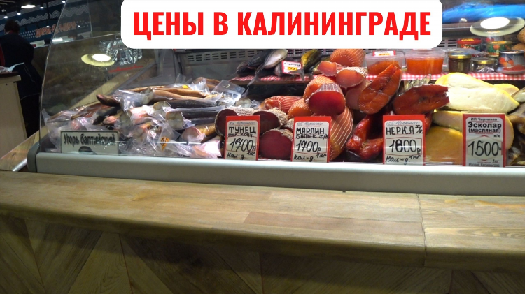 Питание калининград