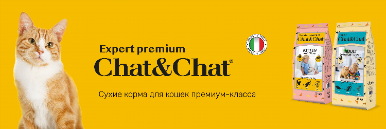 Питомник кошек калининград