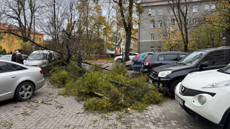Погода калининград сегодня подробно