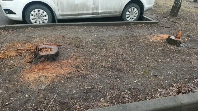 Погода в отрадном калининградской области