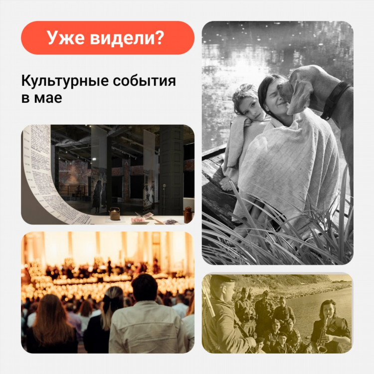 Программа передач на сегодня калининград культура