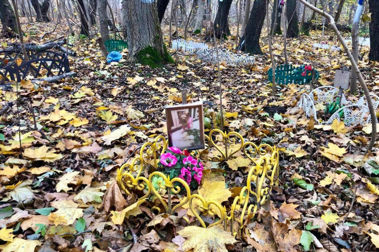 Район сельма калининград на карте