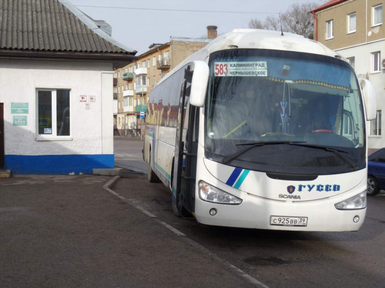 Расписание автобусов гвардейск калининград на сегодня