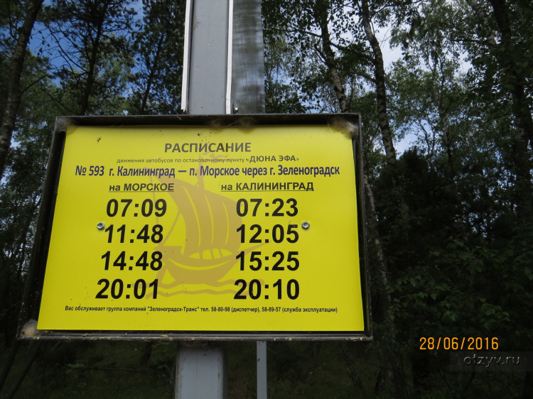 Расписание автобусов калининград 48