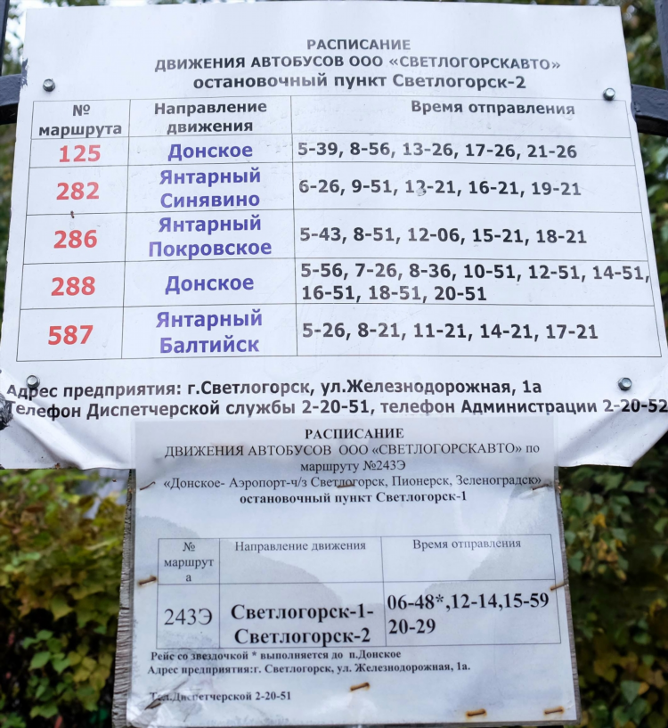 Расписание движения автобусов черняховск калининград