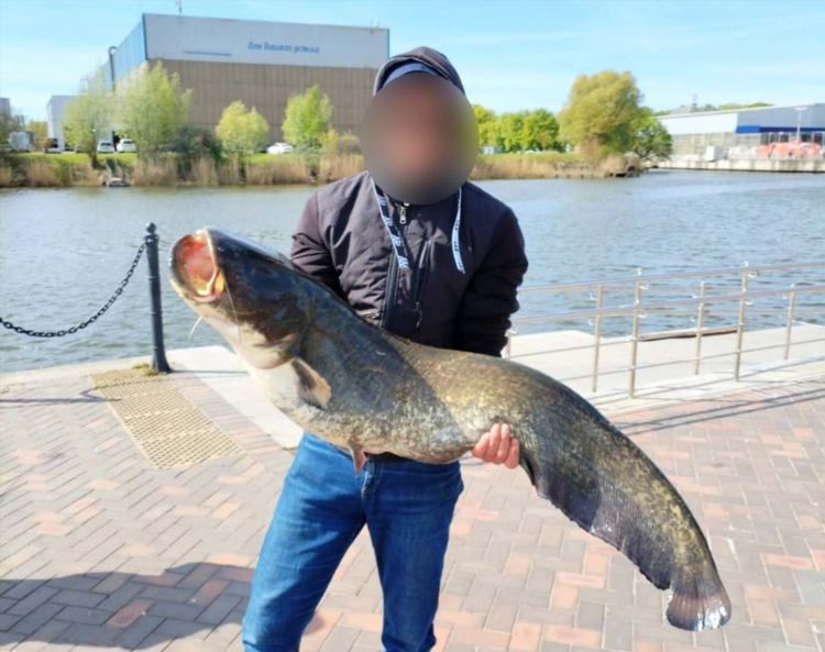 Рыбалка в калининграде на море