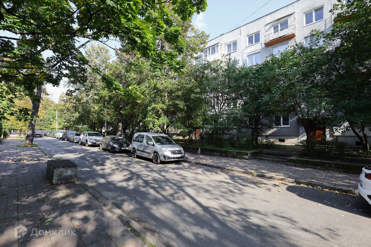 Студия надежды лобовой калининград