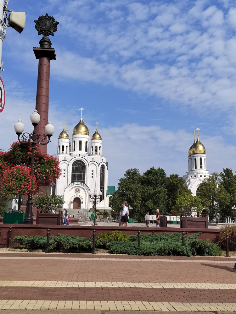 Температура в августе в калининграде
