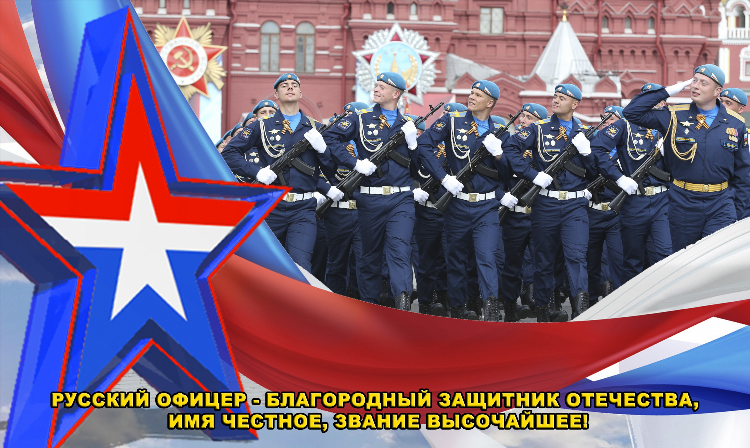 Твое калининград официальный