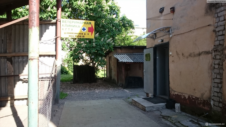 Ветклиника калининград