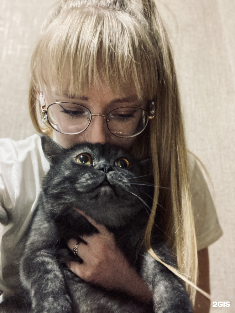 Ветклиника на катина калининград телефон