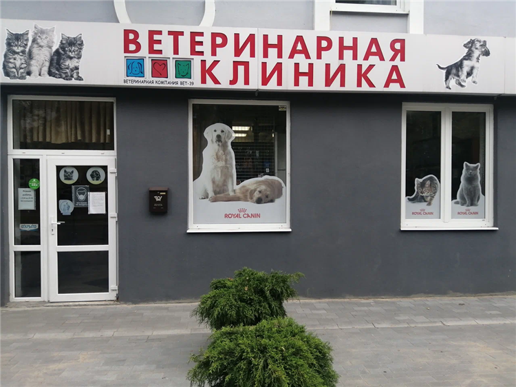 Ветклиника на суворова 117 калининград