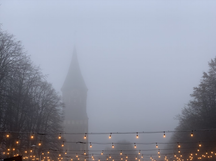 Weather kaliningrad