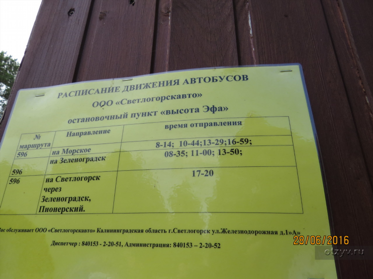 Зеленоградск калининград расписание автобусов 140